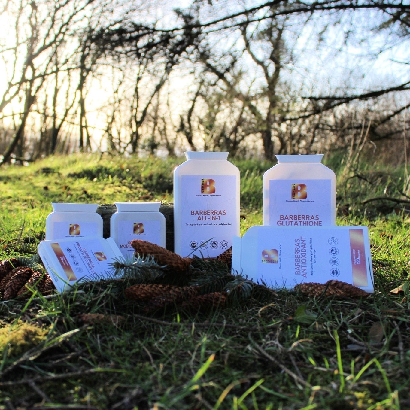 Supplements - Barberras Botanicals Ltd