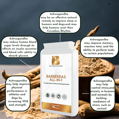 Barberras Botanicals Ltd - Barberras All - in - 1 - Food Supplements - benefits map