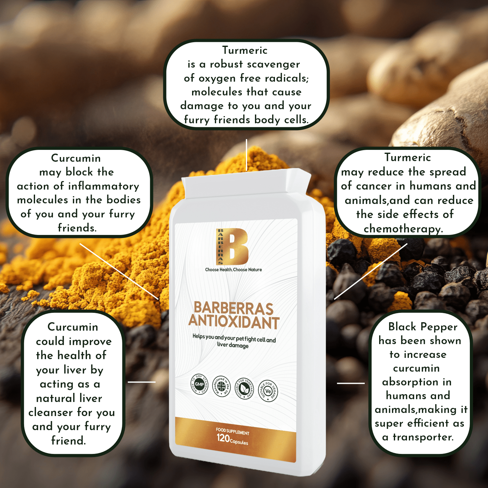 Barberras Botanicals Ltd - Barberras Antioxidant - Food Supplements - benefits map