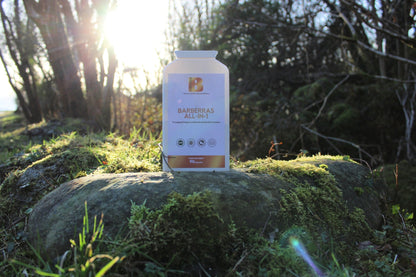 Barberras Botanicals Ltd - Barberras All - in - 1 - Food Supplements - product placed on rock