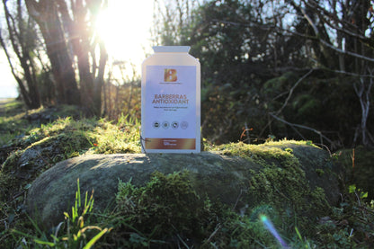 Barberras Botanicals Ltd - Barberras Antioxidant - Food Supplements - product placed on rock