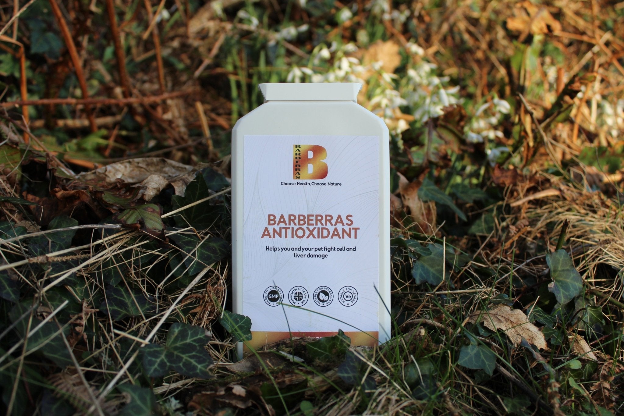 Barberras Botanicals Ltd - Barberras Antioxidant - Food Supplements - image of ferns and grass