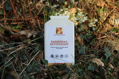Barberras Botanicals Ltd - Barberras Antioxidant - Food Supplements - image of ferns and grass