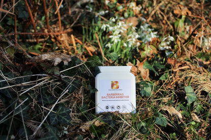 Barberras Botanicals Ltd - Barberras Bacteria Inhibitor - Food Supplements - background of ferns and grass
