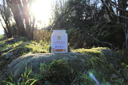 Barberras Botanicals Ltd - Barberras Bacteria Inhibitor - Food Supplements - product placed on rock