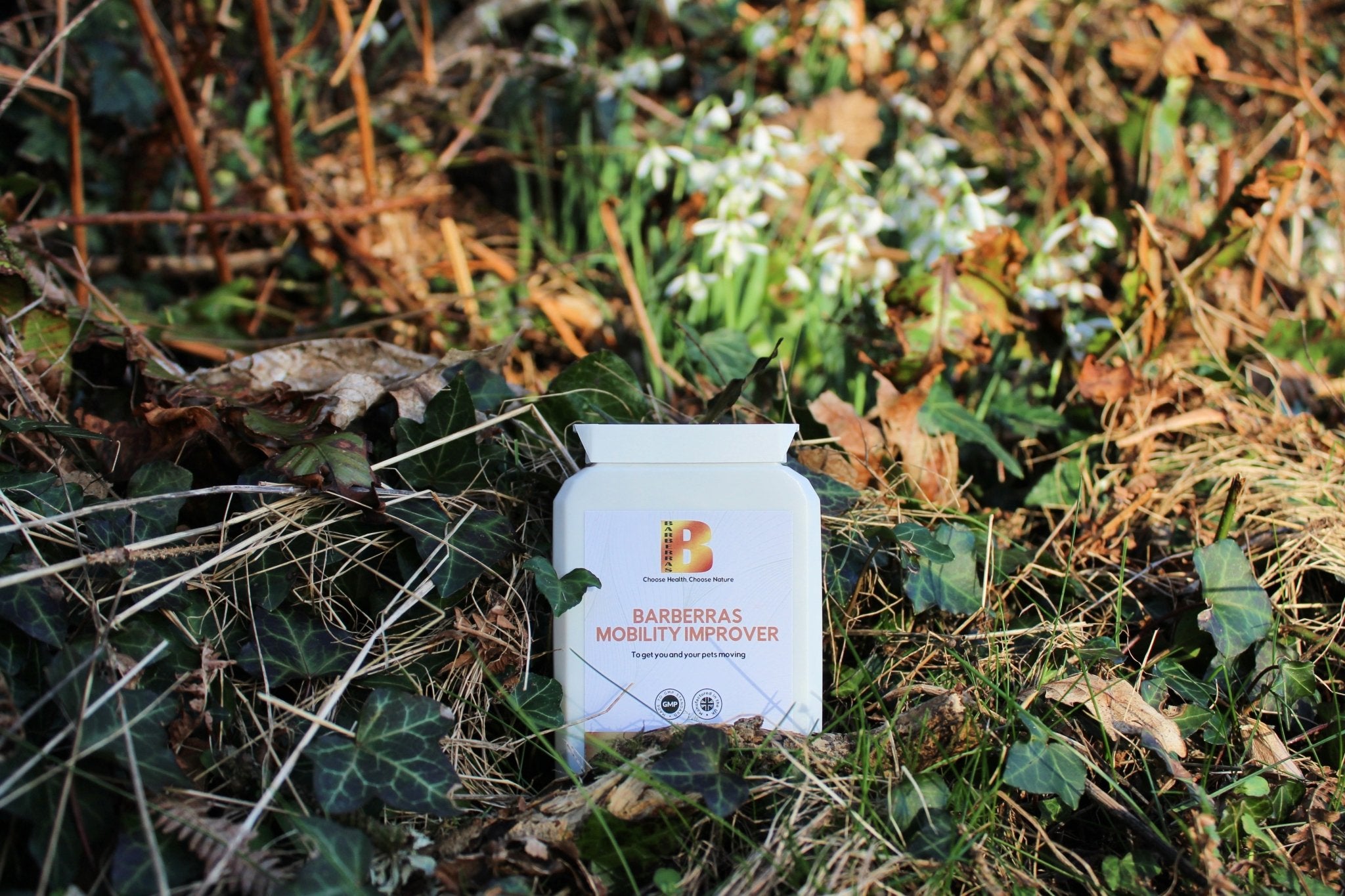 Barberras Botanicals Ltd - Barberras Mobility Improver - Food Supplements - background of ferns and grass