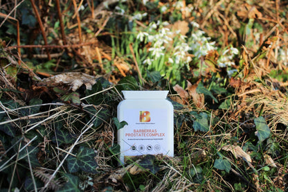 Barberras Botanicals Ltd - Barberras Prostate Complex - Food Supplements - background of ferns and grass