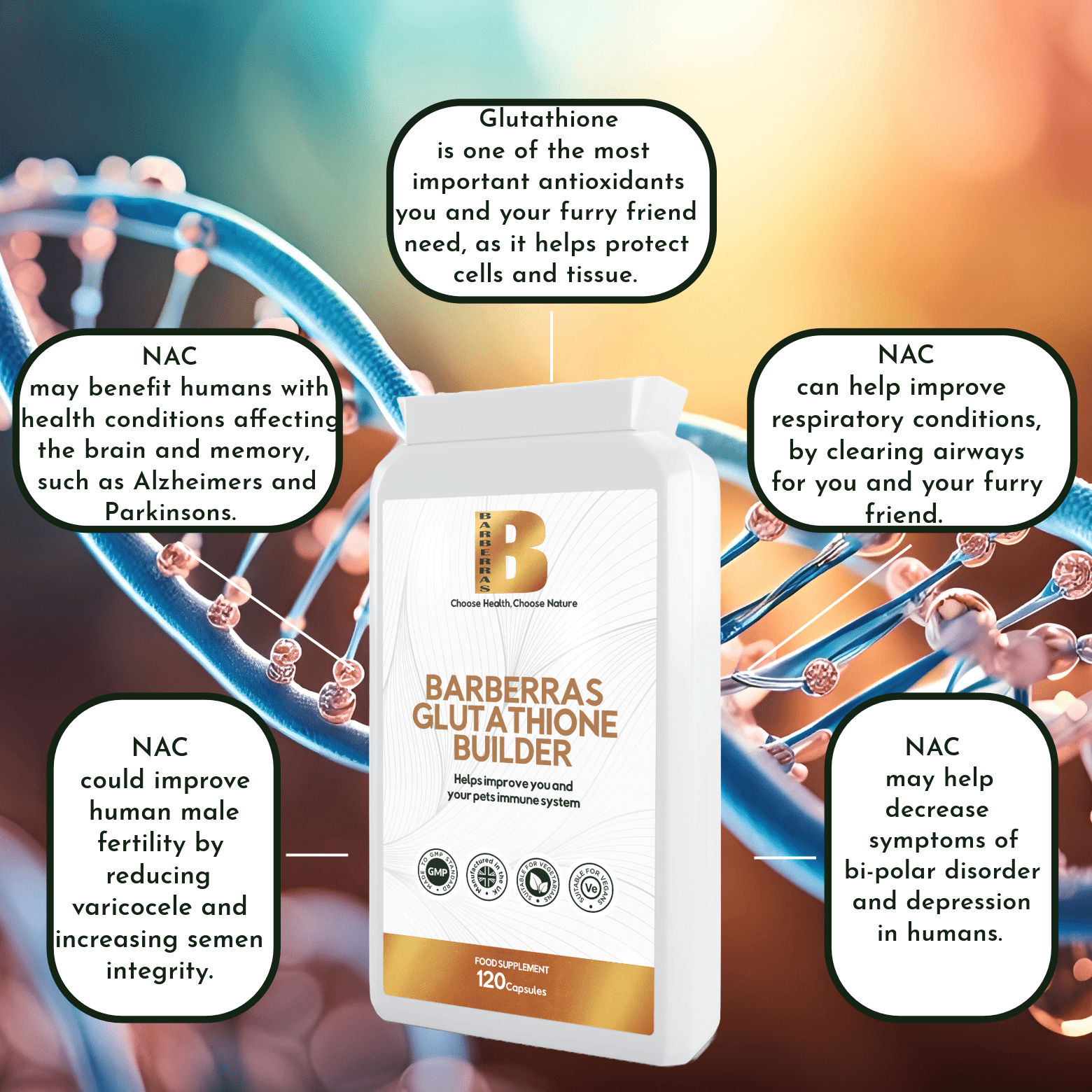 Barberras Botanicals Ltd - Barberras Glutathione Builder - Food Supplements - benefits map