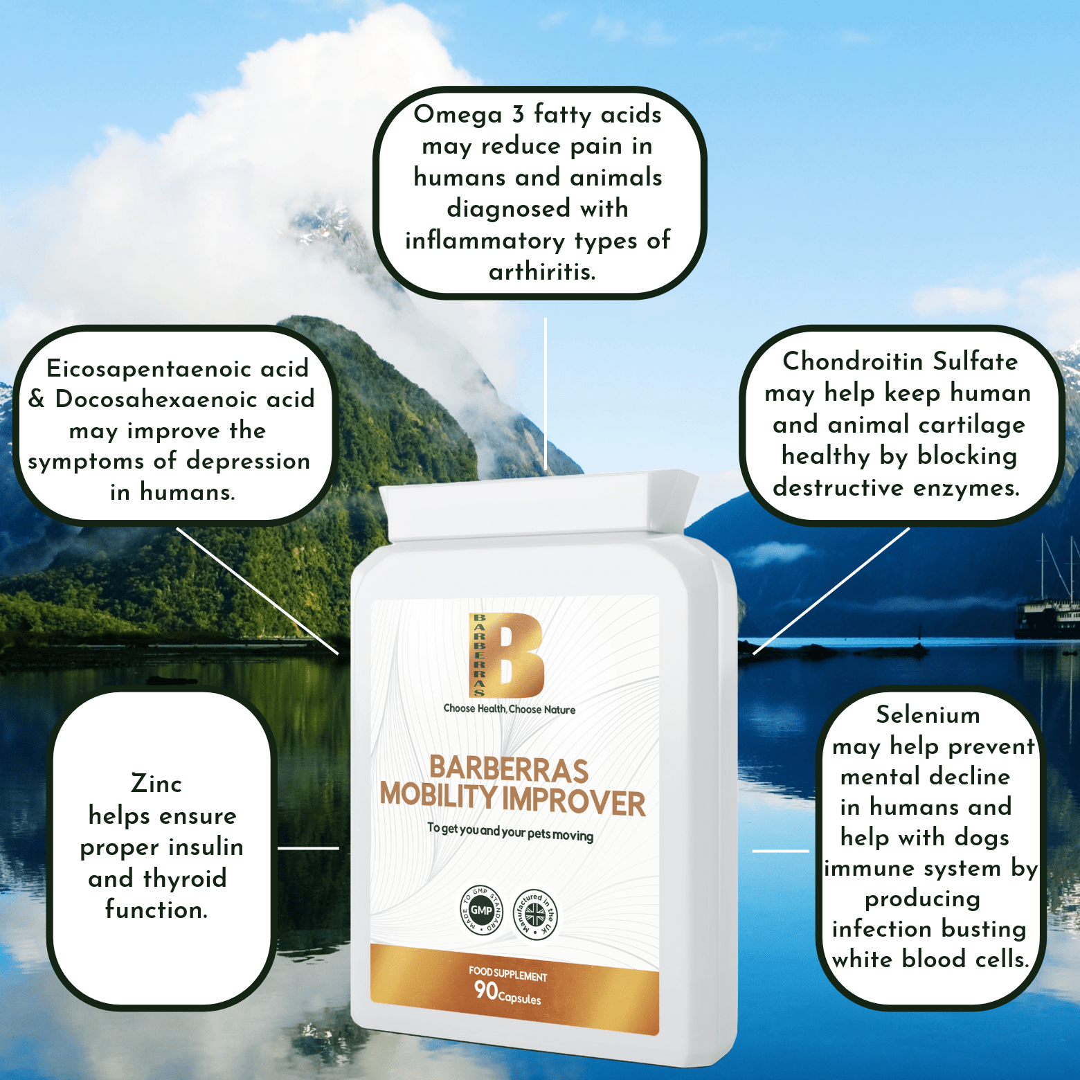 Barberras Botanicals Ltd - Barberras Mobility Improver - Food Supplements - benefits map