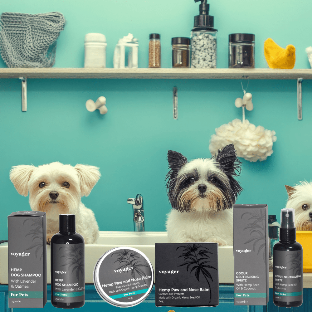 Barberras Botanicals Ltd - Pamper pack for your furry friend. - Hemp Grooming Products - Voyager CBD - #Hempforpets - Hemp - Pamper pack for your furry friend.